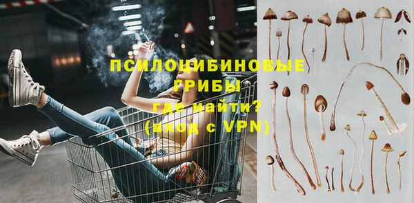 бошки Верхний Тагил